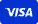 Visa accepted
